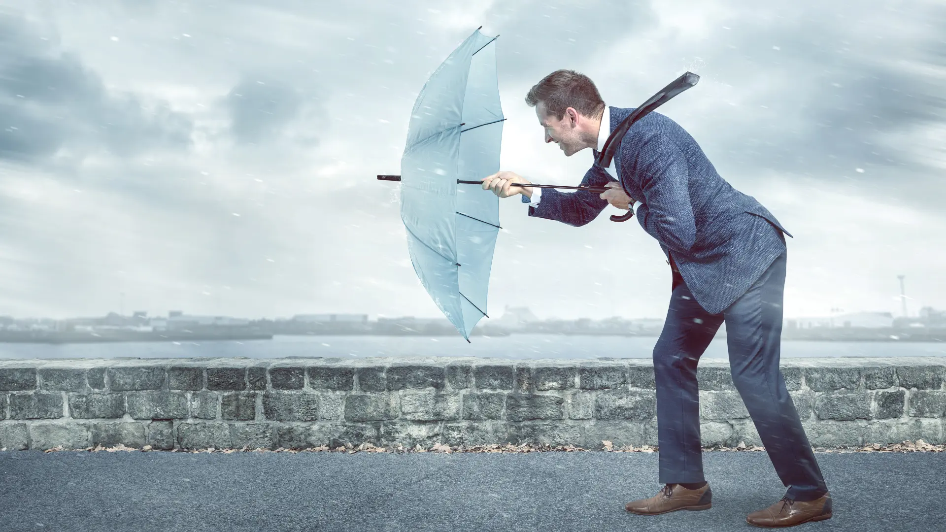 Exemplos De Resiliência No Dia A Dia